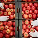 Se necesita empacador para fábrica de alimentos