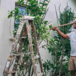 Se busca pintor responsable para finca