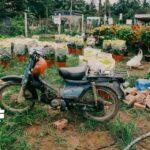 Busco chofer para transporte de plantas y viveros